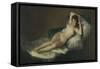 The Naked Maja, C. 1797-1800-Francisco de Goya-Framed Stretched Canvas