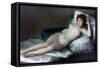 The Naked Maja, C1800-Francisco de Goya-Framed Stretched Canvas