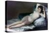 The Naked Maja, C1800-Francisco de Goya-Stretched Canvas