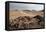 The Namib-Naukluft National Park at Sunset-Alex Saberi-Framed Stretched Canvas