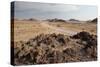 The Namib-Naukluft National Park at Sunset-Alex Saberi-Stretched Canvas