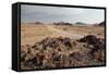 The Namib-Naukluft National Park at Sunset-Alex Saberi-Framed Stretched Canvas