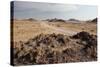 The Namib-Naukluft National Park at Sunset-Alex Saberi-Stretched Canvas