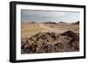 The Namib-Naukluft National Park at Sunset-Alex Saberi-Framed Photographic Print