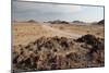 The Namib-Naukluft National Park at Sunset-Alex Saberi-Mounted Photographic Print