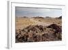 The Namib-Naukluft National Park at Sunset-Alex Saberi-Framed Photographic Print