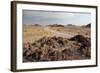 The Namib-Naukluft National Park at Sunset-Alex Saberi-Framed Photographic Print