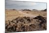 The Namib-Naukluft National Park at Sunset-Alex Saberi-Mounted Photographic Print