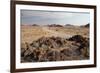 The Namib-Naukluft National Park at Sunset-Alex Saberi-Framed Photographic Print