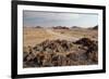 The Namib-Naukluft National Park at Sunset-Alex Saberi-Framed Photographic Print