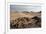 The Namib-Naukluft National Park at Sunset-Alex Saberi-Framed Photographic Print