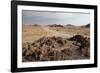 The Namib-Naukluft National Park at Sunset-Alex Saberi-Framed Photographic Print