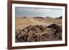 The Namib-Naukluft National Park at Sunset-Alex Saberi-Framed Photographic Print