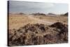 The Namib-Naukluft National Park at Sunset-Alex Saberi-Stretched Canvas