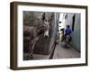 The Narrow Streets of Lamu Town, Lamu, Kenya, East Africa, Africa-Andrew Mcconnell-Framed Photographic Print