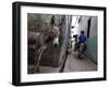 The Narrow Streets of Lamu Town, Lamu, Kenya, East Africa, Africa-Andrew Mcconnell-Framed Photographic Print