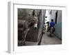 The Narrow Streets of Lamu Town, Lamu, Kenya, East Africa, Africa-Andrew Mcconnell-Framed Photographic Print