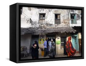 The Narrow Streets of Lamu Town, Lamu, Kenya, East Africa, Africa-Andrew Mcconnell-Framed Stretched Canvas