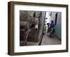 The Narrow Streets of Lamu Town, Lamu, Kenya, East Africa, Africa-Andrew Mcconnell-Framed Photographic Print