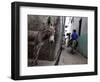 The Narrow Streets of Lamu Town, Lamu, Kenya, East Africa, Africa-Andrew Mcconnell-Framed Photographic Print