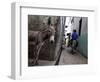 The Narrow Streets of Lamu Town, Lamu, Kenya, East Africa, Africa-Andrew Mcconnell-Framed Photographic Print