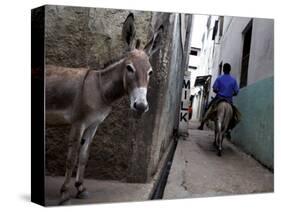 The Narrow Streets of Lamu Town, Lamu, Kenya, East Africa, Africa-Andrew Mcconnell-Stretched Canvas