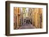 The narrow streets of the old town, Le Panier, Marseille, Bouches du Rhone, Provence, France-Chris Mouyiaris-Framed Photographic Print