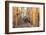 The narrow streets of the old town, Le Panier, Marseille, Bouches du Rhone, Provence, France-Chris Mouyiaris-Framed Photographic Print