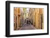 The narrow streets of the old town, Le Panier, Marseille, Bouches du Rhone, Provence, France-Chris Mouyiaris-Framed Photographic Print