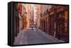 The Narrow Streets of Vieux Lyon, Lyon, Rhone, Rhone-Alpes, France, Europe-Mark Sunderland-Framed Stretched Canvas