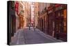 The Narrow Streets of Vieux Lyon, Lyon, Rhone, Rhone-Alpes, France, Europe-Mark Sunderland-Stretched Canvas