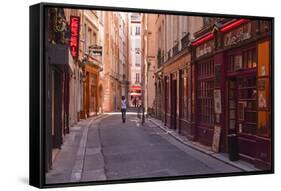 The Narrow Streets of Vieux Lyon, Lyon, Rhone, Rhone-Alpes, France, Europe-Mark Sunderland-Framed Stretched Canvas