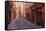 The Narrow Streets of Vieux Lyon, Lyon, Rhone, Rhone-Alpes, France, Europe-Mark Sunderland-Framed Stretched Canvas