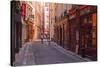 The Narrow Streets of Vieux Lyon, Lyon, Rhone, Rhone-Alpes, France, Europe-Mark Sunderland-Stretched Canvas