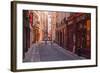 The Narrow Streets of Vieux Lyon, Lyon, Rhone, Rhone-Alpes, France, Europe-Mark Sunderland-Framed Photographic Print