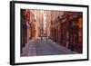 The Narrow Streets of Vieux Lyon, Lyon, Rhone, Rhone-Alpes, France, Europe-Mark Sunderland-Framed Photographic Print