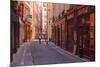 The Narrow Streets of Vieux Lyon, Lyon, Rhone, Rhone-Alpes, France, Europe-Mark Sunderland-Mounted Photographic Print