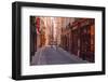 The Narrow Streets of Vieux Lyon, Lyon, Rhone, Rhone-Alpes, France, Europe-Mark Sunderland-Framed Photographic Print