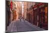 The Narrow Streets of Vieux Lyon, Lyon, Rhone, Rhone-Alpes, France, Europe-Mark Sunderland-Mounted Photographic Print