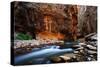 The Narrows In Zion National Park, Utah-Austin Cronnelly-Stretched Canvas