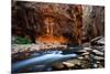 The Narrows In Zion National Park, Utah-Austin Cronnelly-Mounted Photographic Print