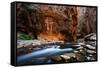 The Narrows In Zion National Park, Utah-Austin Cronnelly-Framed Stretched Canvas