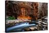 The Narrows In Zion National Park, Utah-Austin Cronnelly-Stretched Canvas