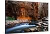 The Narrows In Zion National Park, Utah-Austin Cronnelly-Stretched Canvas