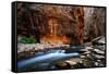 The Narrows In Zion National Park, Utah-Austin Cronnelly-Framed Stretched Canvas