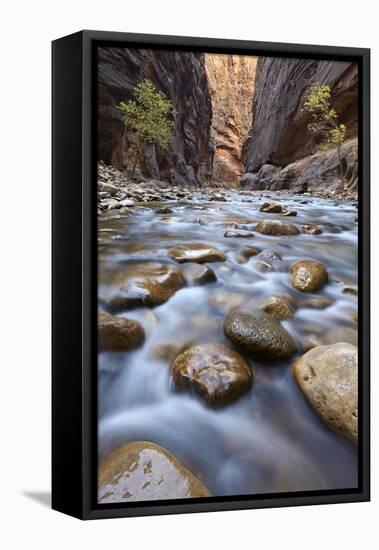 The Narrows of the Virgin River in the Fall-James Hager-Framed Stretched Canvas