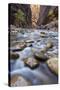 The Narrows of the Virgin River in the Fall-James Hager-Stretched Canvas