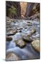 The Narrows of the Virgin River in the Fall-James Hager-Mounted Photographic Print