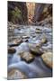 The Narrows of the Virgin River in the Fall-James Hager-Mounted Photographic Print
