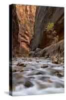 The Narrows of the Virgin River in the Fall-James Hager-Stretched Canvas